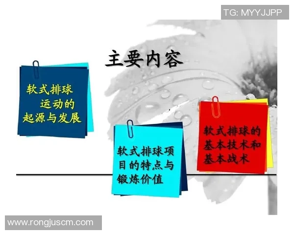 成都排球队的控制打法深度解析与战术应用探讨 成都排球队的控制打法深度解析与战术应用探讨